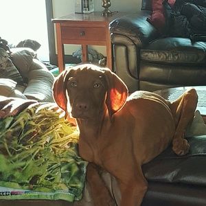 Meet your Posher, Susan